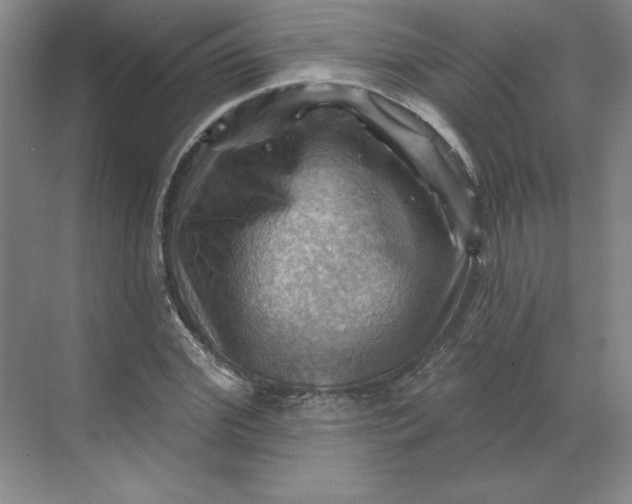 X0000068820972200605191829