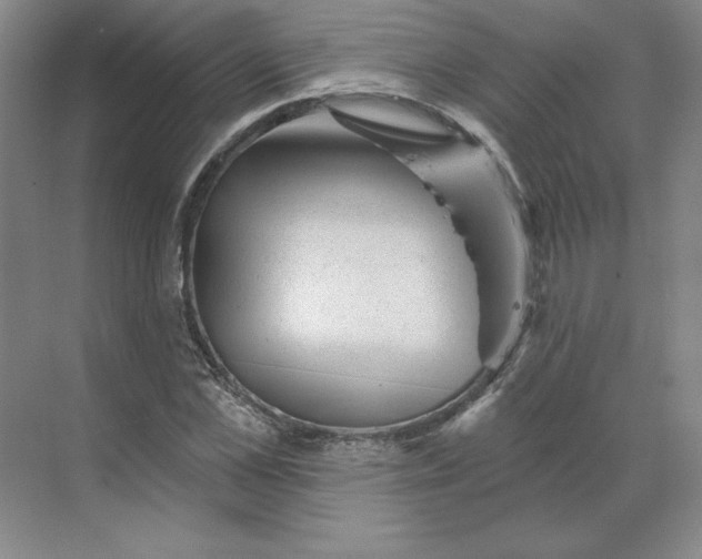 X0000068820973200605191829