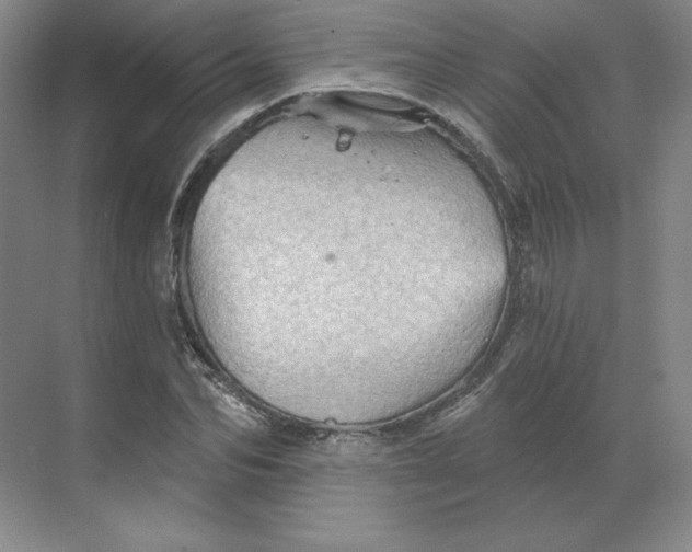 X0000068820974200605191829