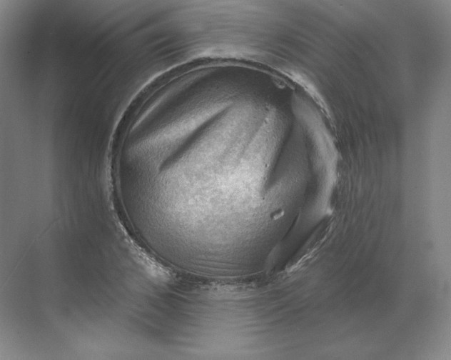 X0000068820976200605191829