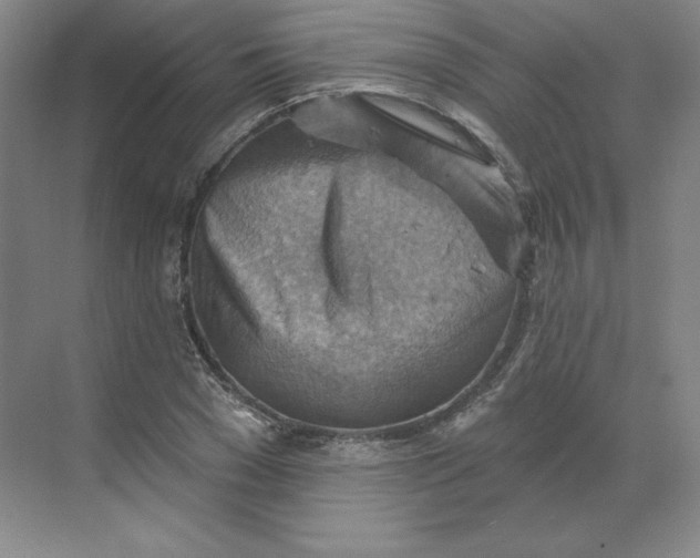 X0000068820977200605191829