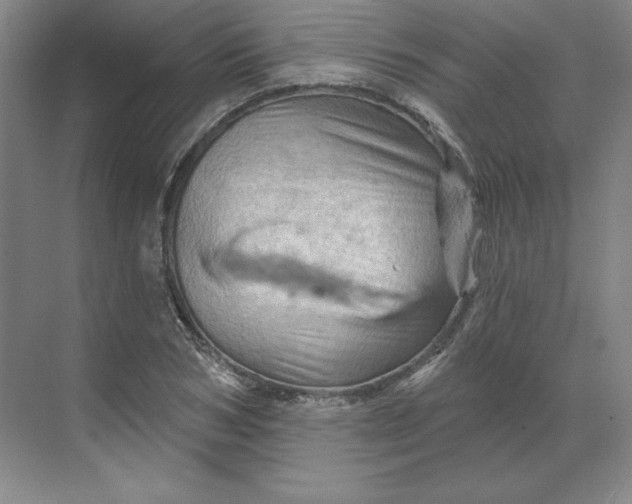 X0000068820978200605191829