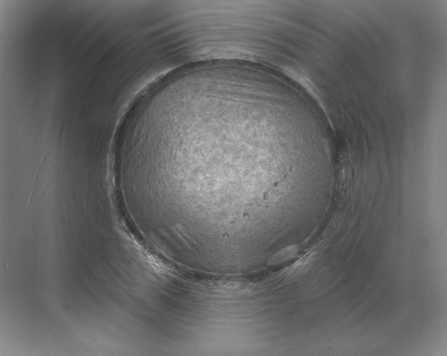 X0000068820979200605191829