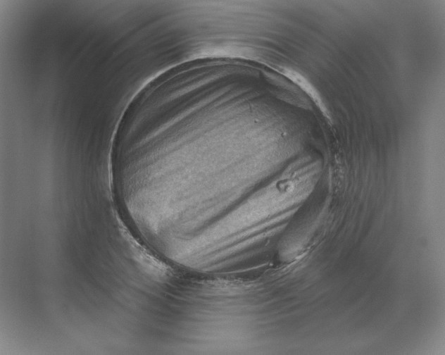 X0000068820980200605191829