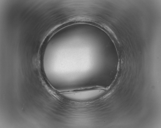 X0000068820981200605191829