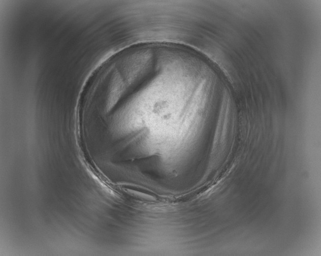 X0000068820982200605191828