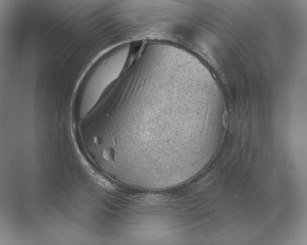 X0000068820984200605191828