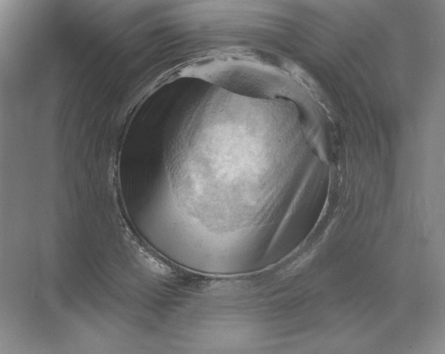 X0000068820985200605191828