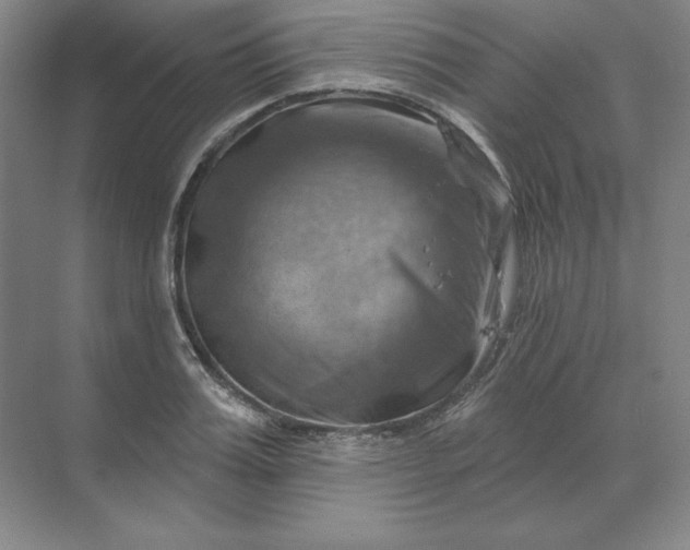 X0000068820987200605191828