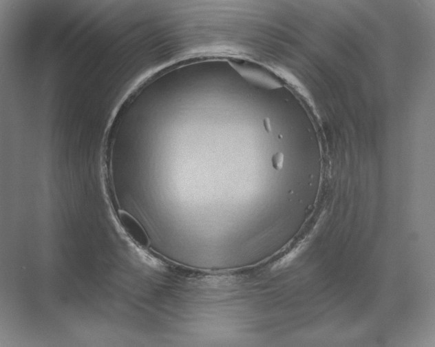 X0000068820989200605191828