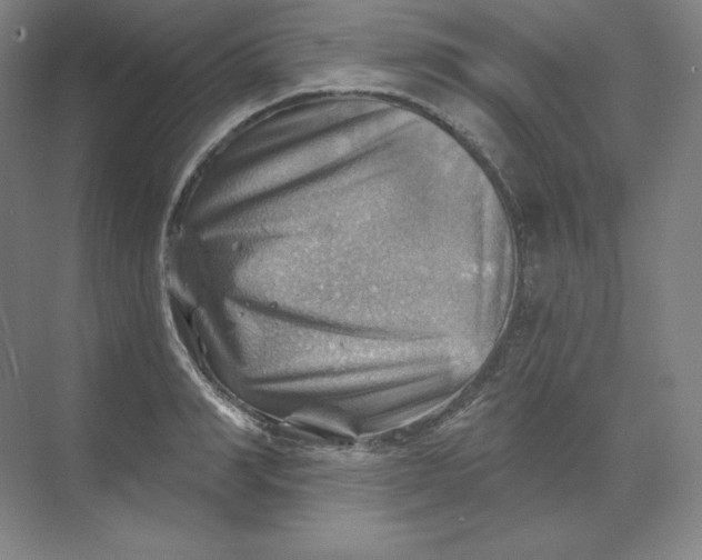 X0000068820990200605191828