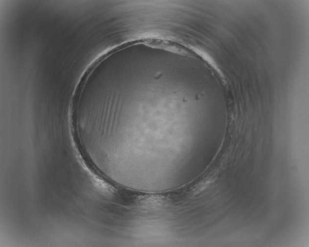 X0000068820991200605191828