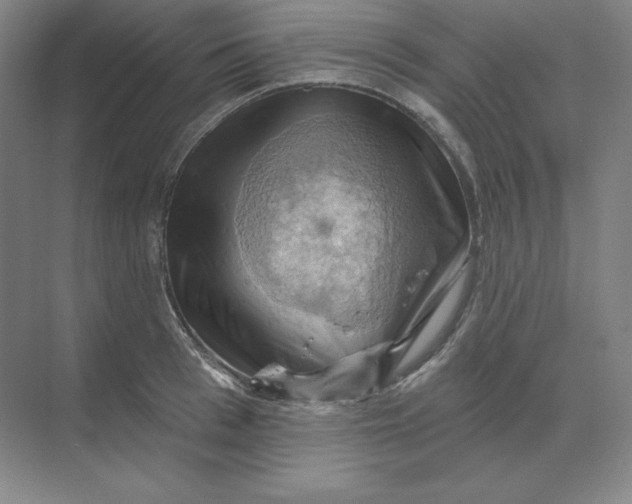 X0000068820993200605191828