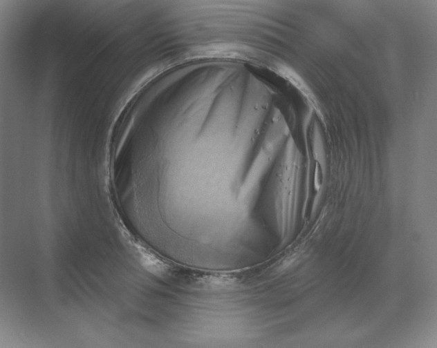 X0000068820994200605191828