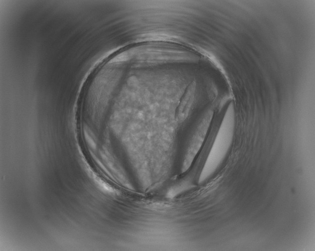 X0000068820995200605191828