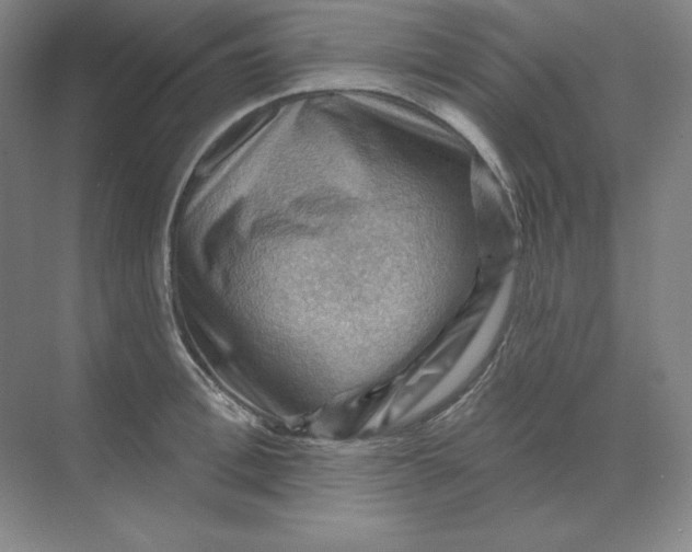 X0000068820996200605191828