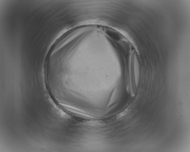 X0000068820998200605191828