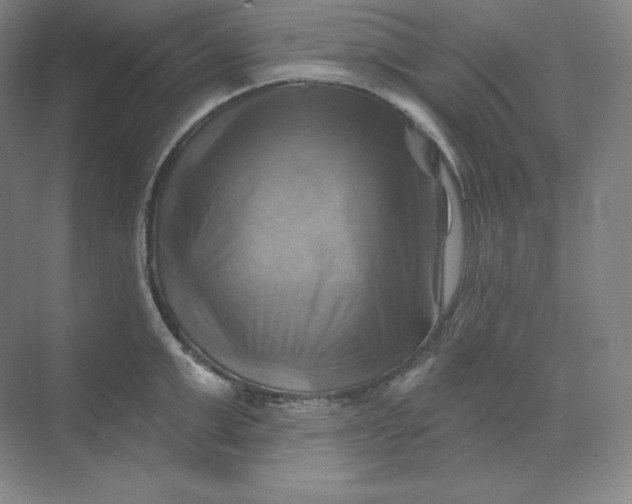 X0000068820999200605191828