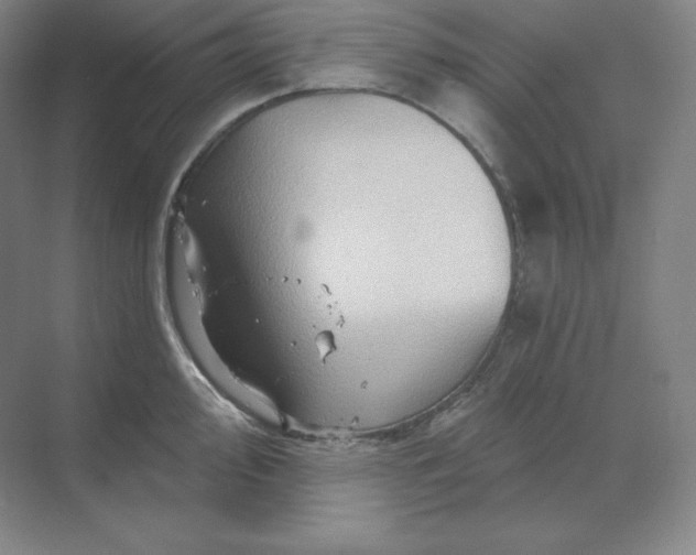 X0000068821000200605191828