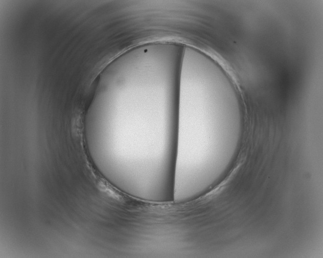 X0000068821001200605191828