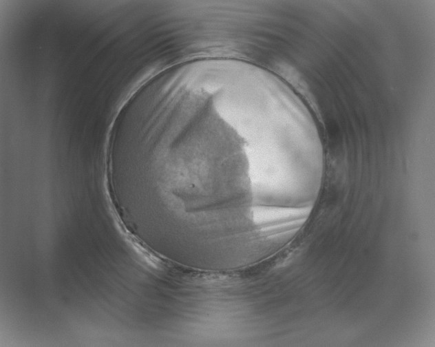 X0000068821002200605191828