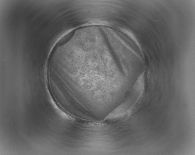 X0000068821003200605191828