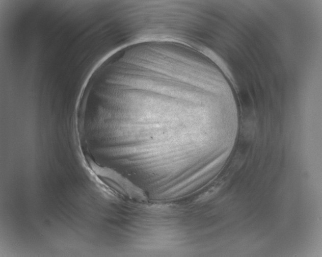 X0000068821004200605191828