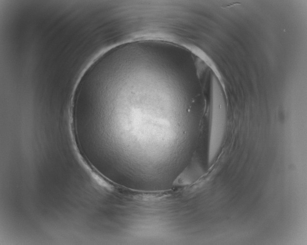 X0000068821005200605191828