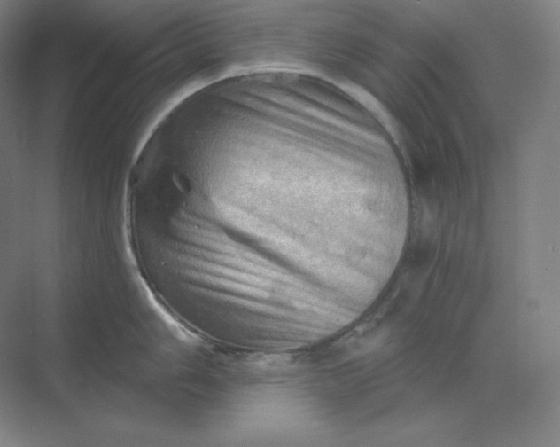 X0000068821006200605191828