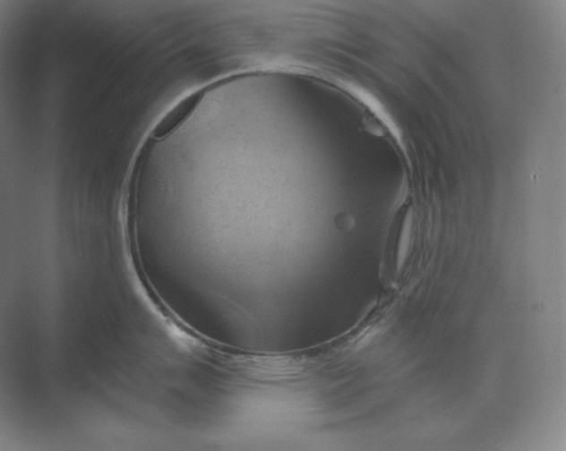 X0000068821007200605191828