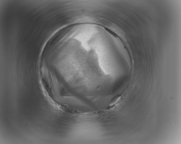 X0000068821008200605191828