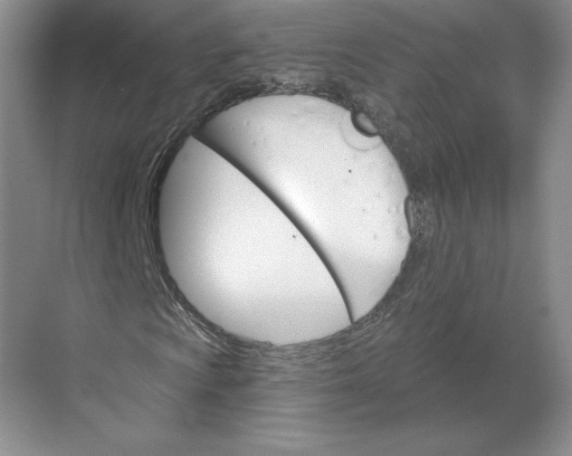 X0000068821009200605191827