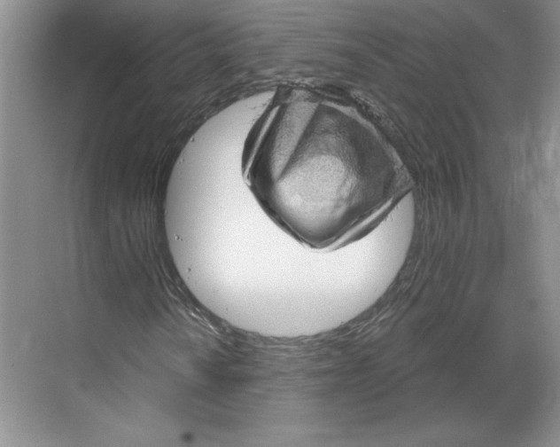 X0000068821010200605191827