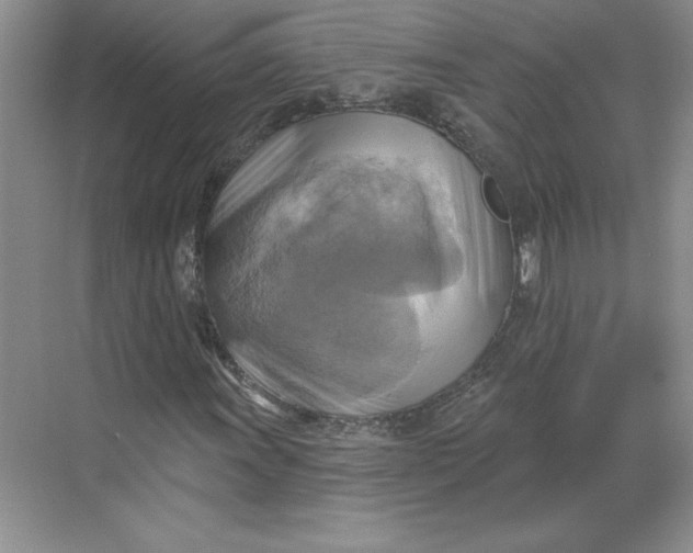 X0000068821011200605191827