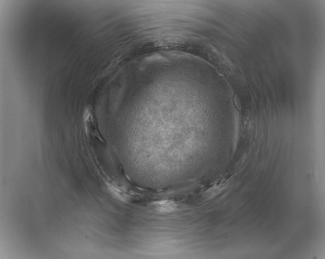 X0000068821012200605191827