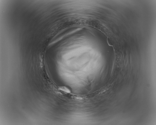 X0000068821013200605191827