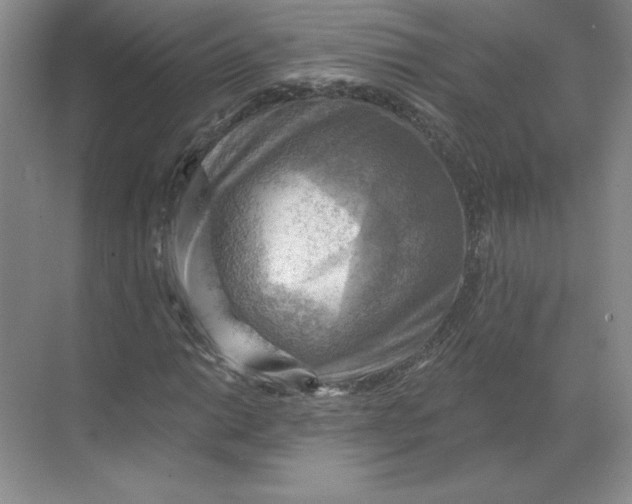 X0000068821014200605191827