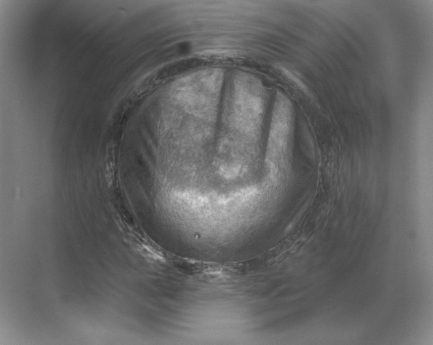 X0000068821015200605191827