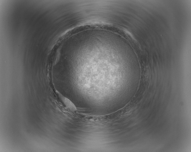 X0000068821016200605191827