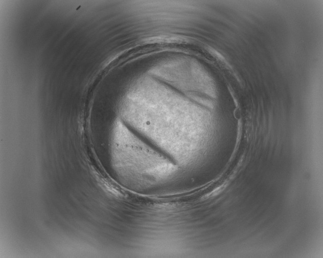 X0000068821017200605191827