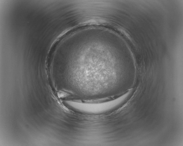 X0000068821018200605191827