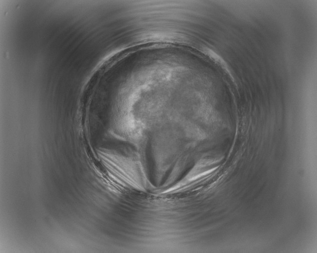 X0000068821019200605191827