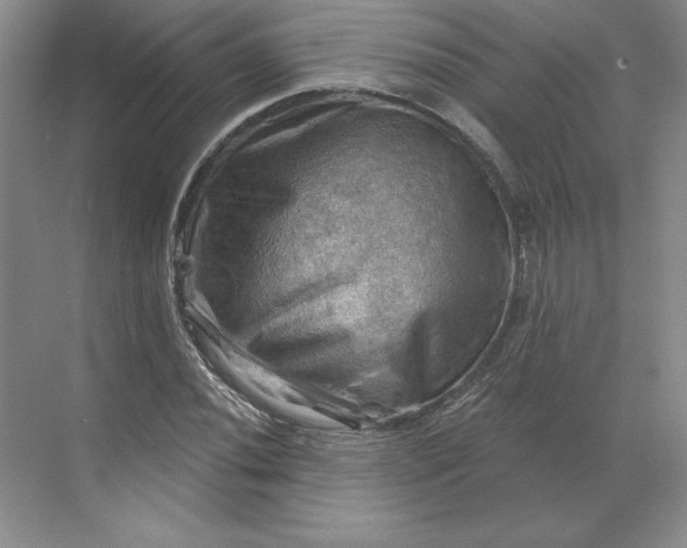 X0000068821020200605191827