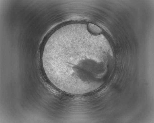 X0000068821021200605191827