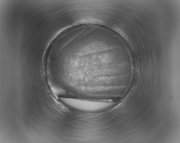 X0000068821022200605191827