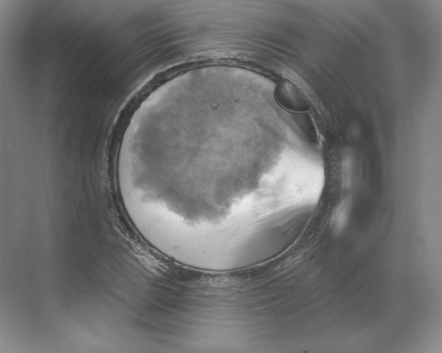 X0000068821023200605191827