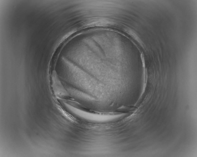 X0000068821026200605191828