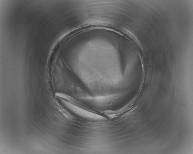 X0000068821027200605191828