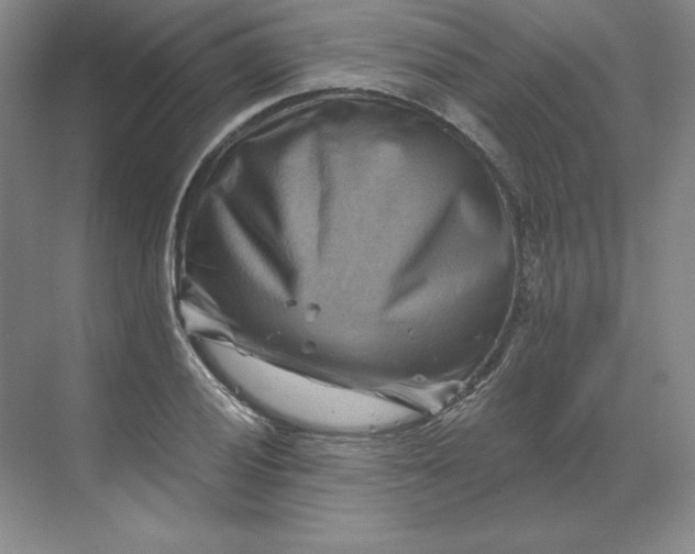 X0000068821028200605191828