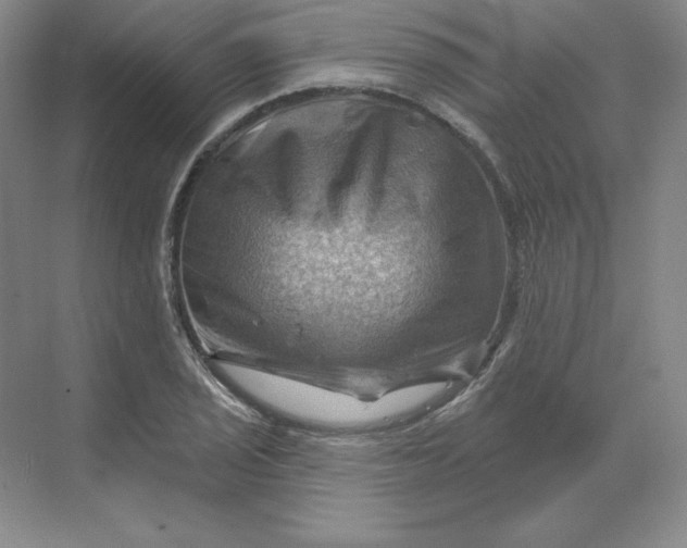 X0000068821029200605191828